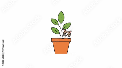 Cute cat peeking from a potted plant on white background.
