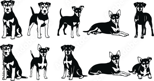Black and white dog silhouette vector collection, terrier and pinscher puppy breeds set, pet animal poses, domestic canine icons for logo design.