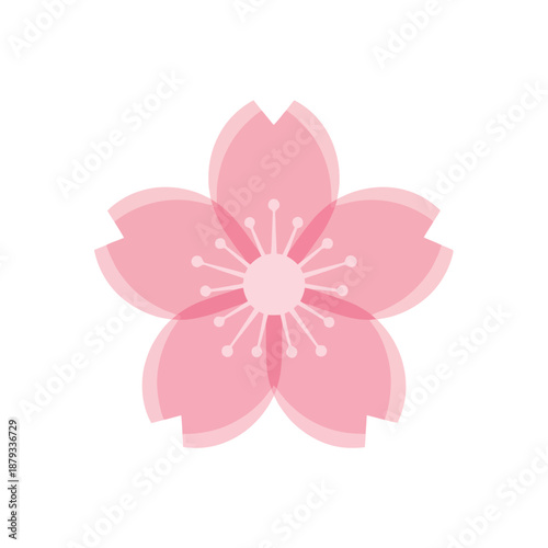 Sakura Flower Front View