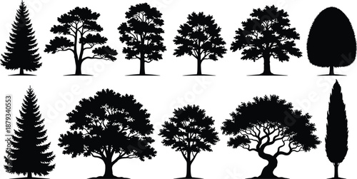 Black Tree Silhouette Collection, Detailed Forest Pine and Deciduous Oak Icons, Botanical Garden Plant Shapes, Nature Conservation Vector Illustration, Minimalist Landscape Design Elements, Isolated