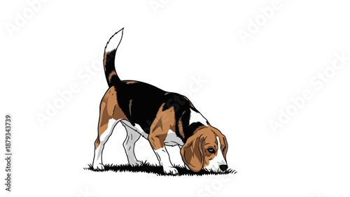 Close-up of water drops on green leaf after rain, nature's freshness