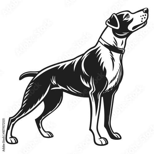 Black and white dog illustration