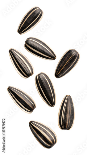 Wallpaper Mural Sunflower seeds falling isolated on a transparent background Torontodigital.ca