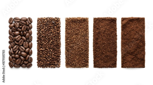 Coffee grind size chart, Different types of ground coffee, Coffee processing steps from beans to powder