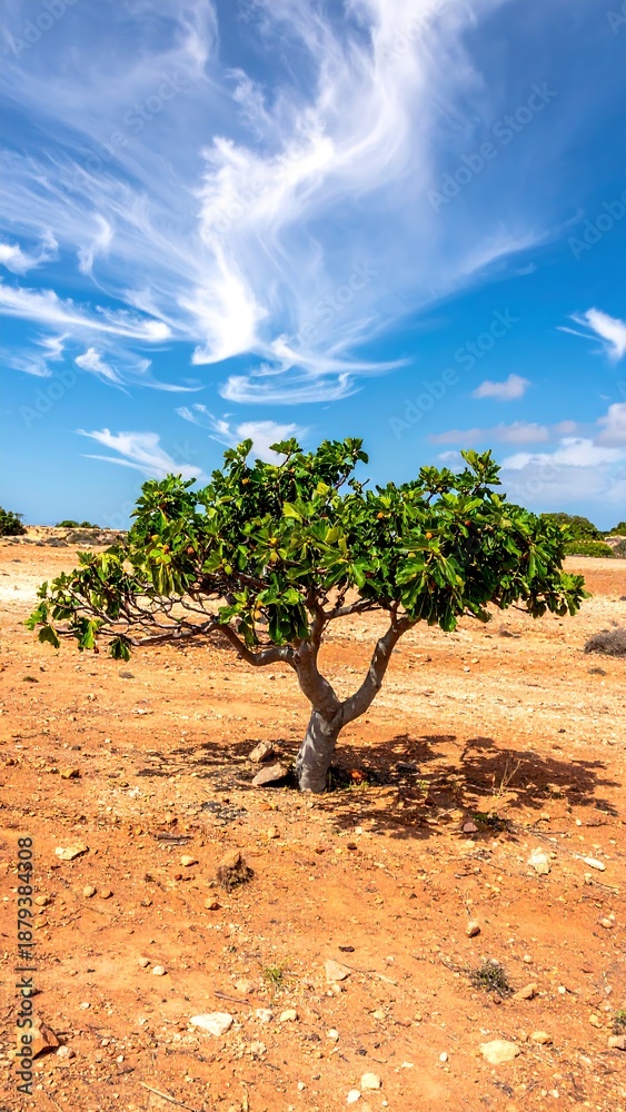 Fototapeta premium Lonely green tree stands firm against an arid, rocky landscape under a bright, cloudscape