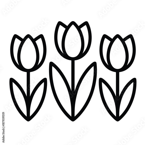 Outline illustration of three simple black and white tulip flowers with stems and leaves