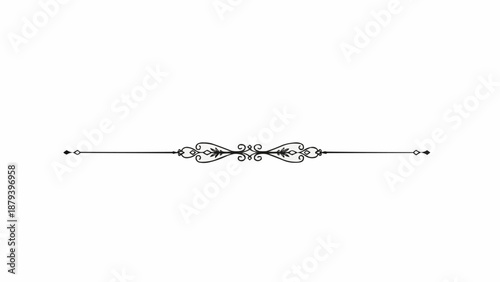 Elegant decorative line divider with floral elements.