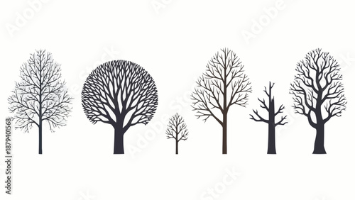 Collection of bare deciduous trees in silhouette.
