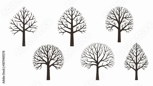 Collection of bare winter trees in silhouette.