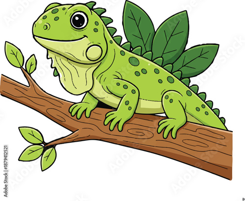 green lizard on white background