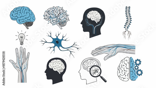 Collection of medical illustrations depicting the human brain and nervous system.