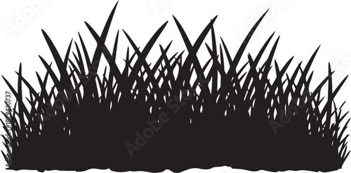 Black Silhouette of Tall Grass Blades on White Background
