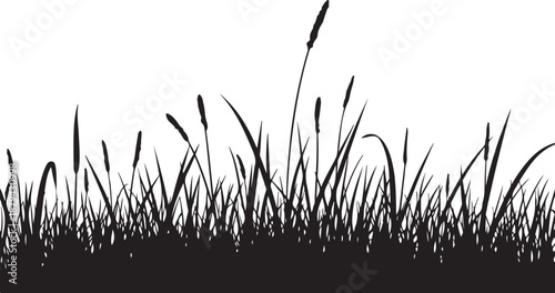 Black Silhouette of Cattails and Grass on White Background