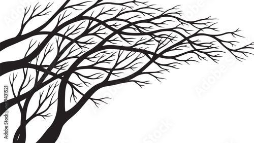 Bare tree branches on a white background silhouette