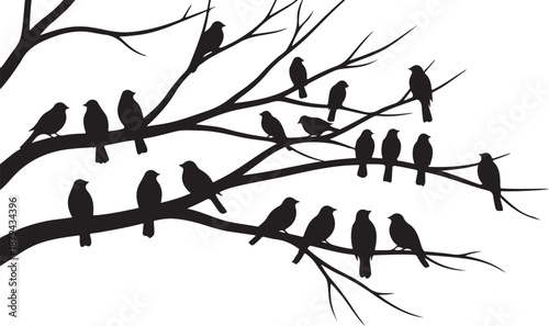Silhouette of birds perched on bare tree branches together