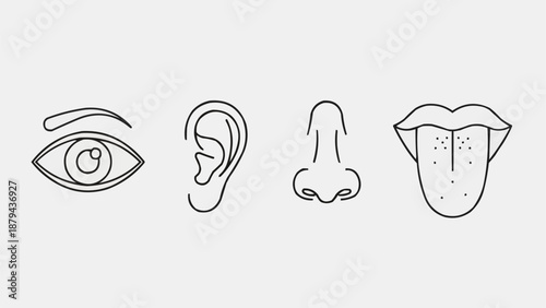 Set of five human senses icons simple line art.