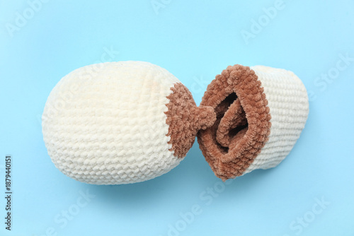 Knitted model of female bre...