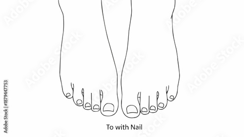 Line Drawing of Human Feet with Toenails Visible.