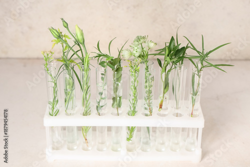 Different test tubes with h...
