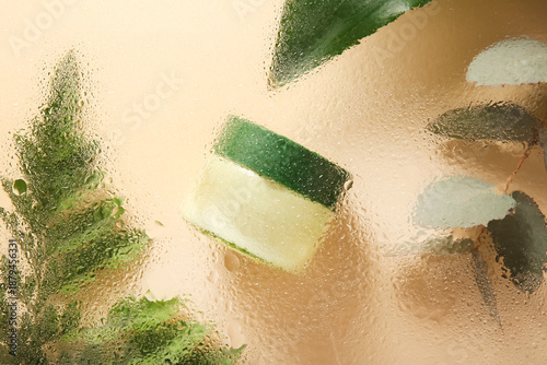 Cosmetic jar and green leav...