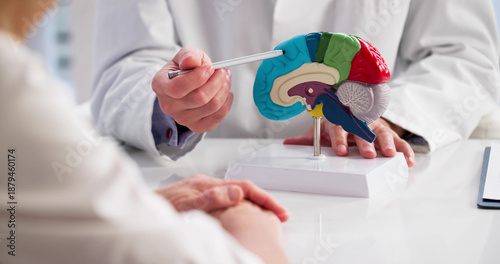 Foto Neurologist Doctor Holds Brain Model, Explains Diagnosis