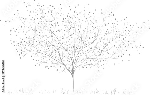 Delicate grey line of a stylized tree with numerous small dots representing leaves or fruit on thin branches against a white background with a hint of grass at the bottom