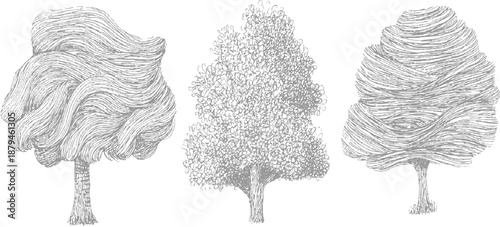 Trio of distinct artistic trees rendered in detailed grey line showcasing varied textures and forms from wavy foliage to dense leaf patterns on a clean white background