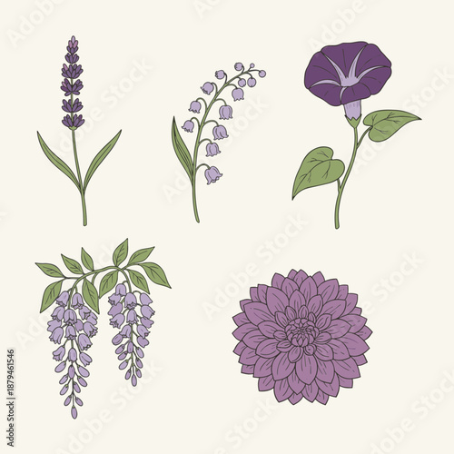 Set of elegant purple hand drawn floral sketches including lavender, lily of the valley, morning glory, dahlia, and wisteria on cream background.