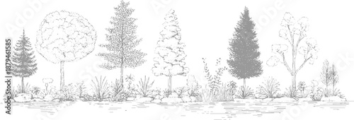 Line of a diverse collection of trees and botanical rendered with fine detail and subtle shading foliage
