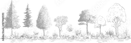 Detailed line of a diverse collection of deciduous and coniferous trees with varied foliage and textures set against a natural landscape with rocks and water