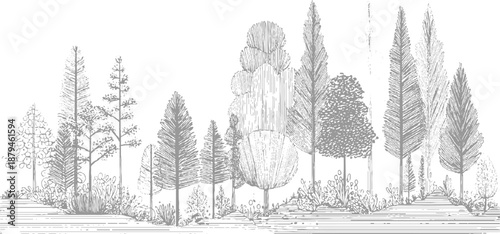 An intricate hand-drawn forest scene with a dense arrangement of varied trees and detailed undergrowth, creating a rich, textured monochromatic of a natural environment