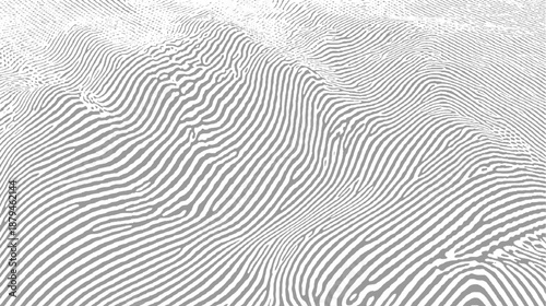 Three dimensional abstract landscape formed by white fingerprint ridges creating a topographical map effect on a grey background