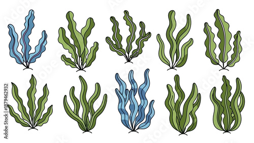 Collection of Hand-Drawn Underwater Seaweed and Algae Illustrations in Blue and Green