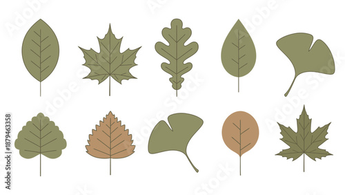 Collection of Autumn Leaves Icons in Various Shapes and Colors on a White Background