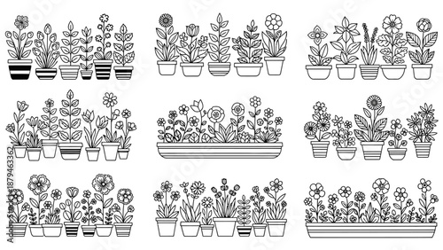 Collection of various potted flowers and plants in different styles and arrangements