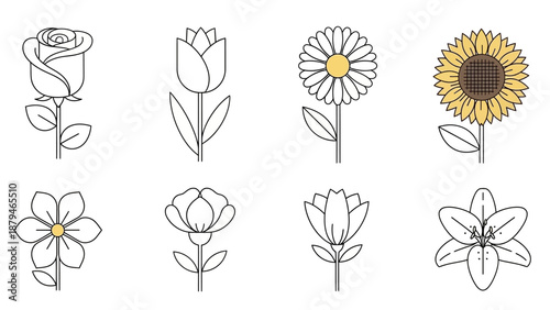 Collection of eight diverse and stylized floral illustrations in a clean art style