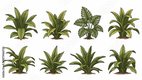 Collection of Lush Green Tropical Plants and Foliage in Cartoon Style