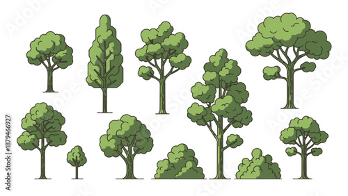 Collection of Diverse Green Trees and Bushes, Vector Illustrations in Flat Design Style