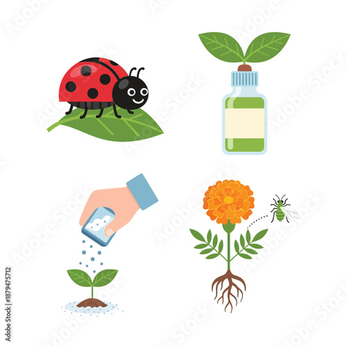 Illustrations showing gardening practices, including a ladybug on a leaf, plant growth from a bottle, fertilizing a sprout, and a marigold deterring an insect.