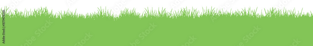 Obraz premium Seamless grass silhouette, meadow panorama on white background, lawn border, isolated graphic element