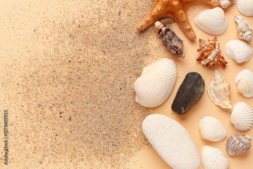 Sand with starfishes and se...