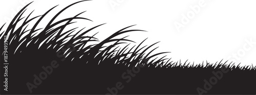 Black grass silhouette on white background illustration design element