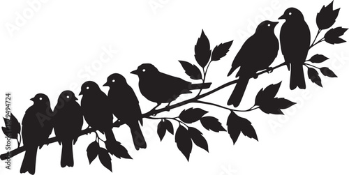 Silhouette of birds perched on a tree branch together