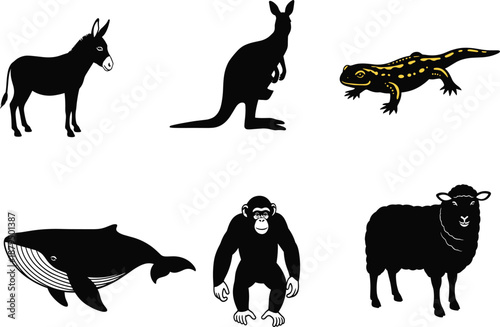 Animal silhouettes, black vector icons, donkey, kangaroo, lizard, whale, chimpanzee, sheep, side view, isolated, clean design, wildlife, reptile
