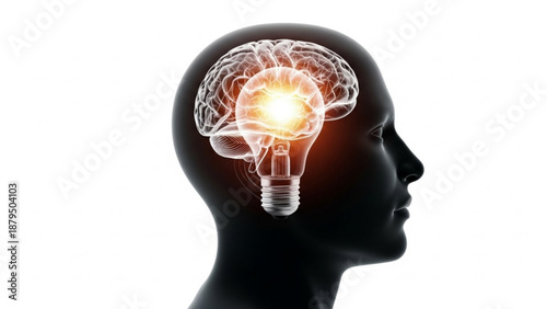 A profile view of a human head in silhouette with a glowing lightbulb and brain illustration
