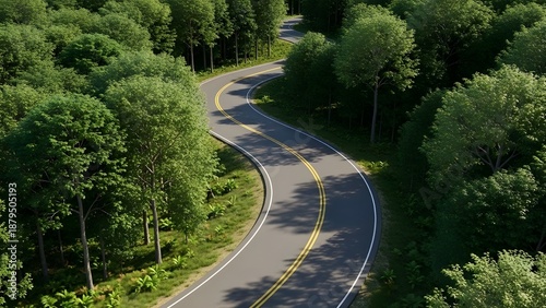 road in the forest