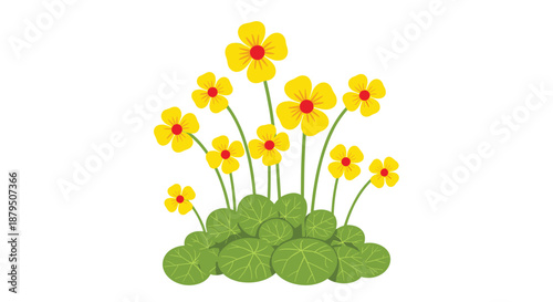 Cluster of bright yellow wildflowers with red centers growing among green rounded leaves on a simple white background illustration.