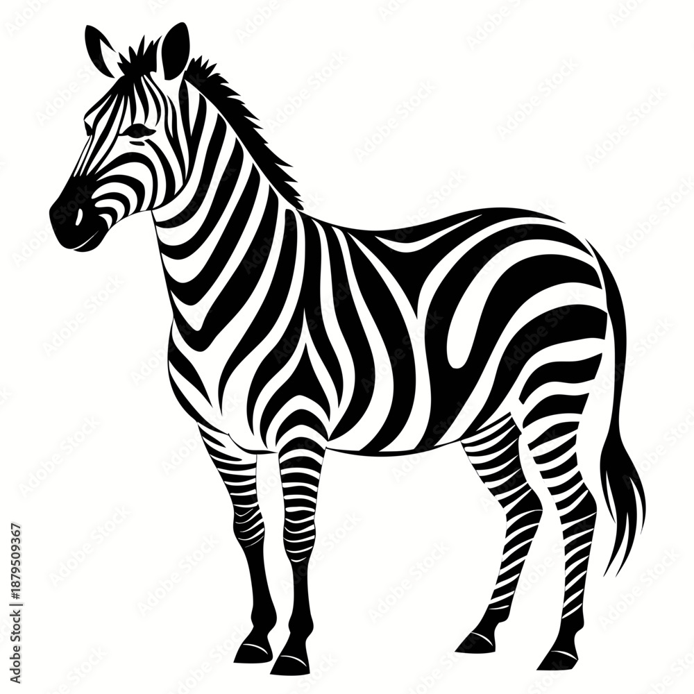 Obraz premium zebra vector illustration