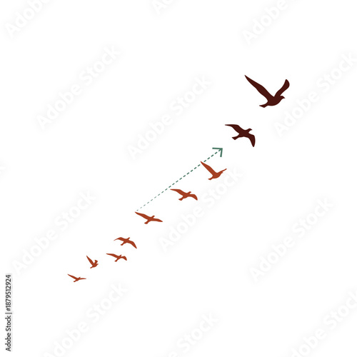 Birds flying in formation with leader