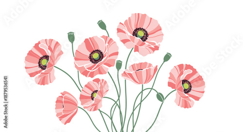 Elegant bouquet of light pink poppy flowers with dark centers and green stems, creating a beautiful floral arrangement.